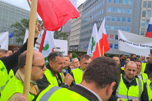 Protest polskich rolników w Brukseli. Będą kolejne?