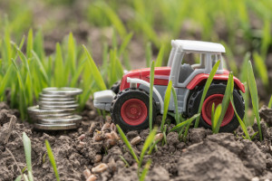 Minister rolnictwa: 15 mld zł pomocy dla polskich rolników