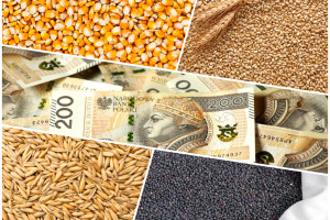 Dopłaty do zbóż i nasion oleistych. 1 czerwca rusza nabór wniosków