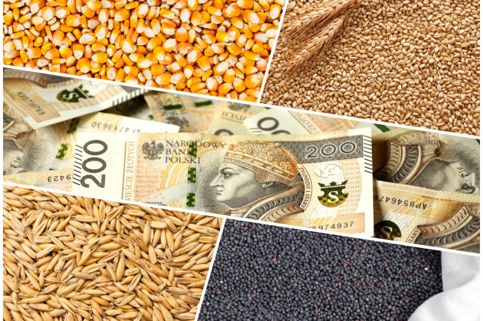 1 czerwca rusza nabór wniosków o pomoc w sektorze zbóż i nasion oleistych, fot. collage / shutterstock / adobe stock