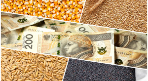 Dopłaty do zbóż i nasion oleistych. 1 czerwca rusza nabór wniosków