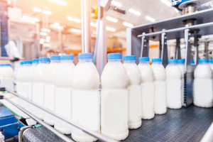 Ukraina chce przywrócić kontrole weterynaryjne produktów mlecznych z Polski