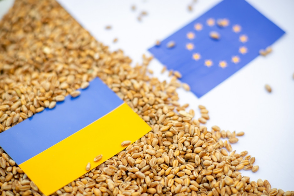 Co z importem zboża z Ukrainy, fot. Shutterstock