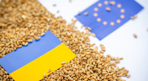 Francja i Niemcy przeciw przedłużeniu zakazu eksportu ukraińskiego zboża po 15 września