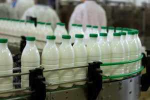 Ukraina chce przywrócić kontrole weterynaryjne produktów mlecznych z Polski