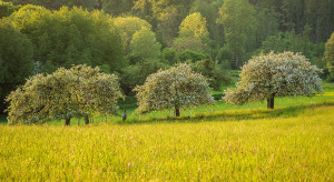 Soil scientists still have no statutory definition of qualifications Soil scientists still have no statutory definition of qualifications