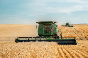Dopłaty do zbóż 2023. Jakie jest zainteresowanie rolników dopłatami?