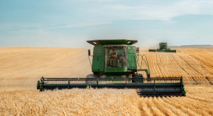 Dopłaty do zbóż 2023. Jakie jest zainteresowanie rolników dopłatami?