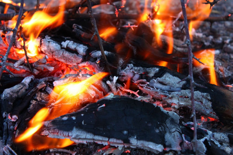 Dziecko poparzyło się w żarze pozostałym po ognisku, Foto: pixabay/Alexis