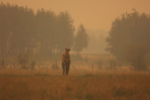 Pożary w Kanadzie pustoszą lasy. Ze wschodu rozprzestrzeniły się na zachód kraju