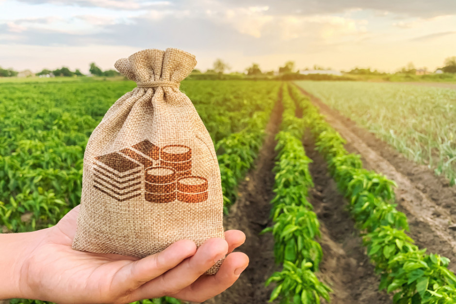 ARiMR przyjmuje wnioski o wsparcie w kilku obszarach naraz. Rolnicy są zdezorientowani i oburzeni narzuconym tempem działania, fot. Shutterstock