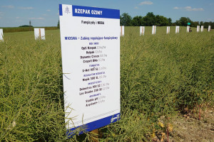 Warsztaty polowe Chemirol 2023