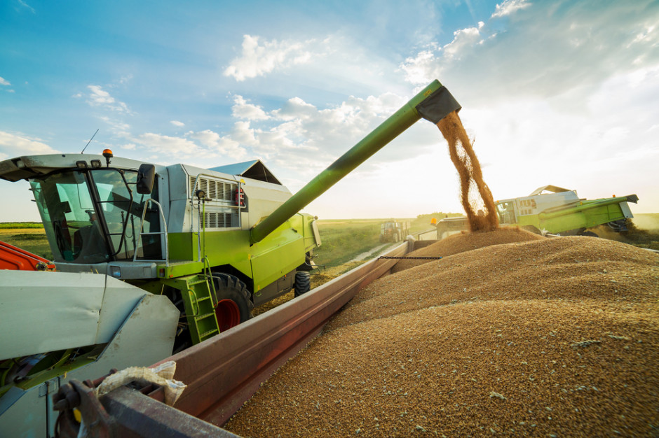 IGC : światowa  produkcja zbóż ogółem  w sezonie 2023/2024 ma wynieść 2,292 mld ton; Fot Shutterstock
