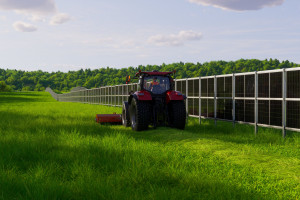 Agrofotowoltaika wreszcie ruszy także w polskim rolnictwie