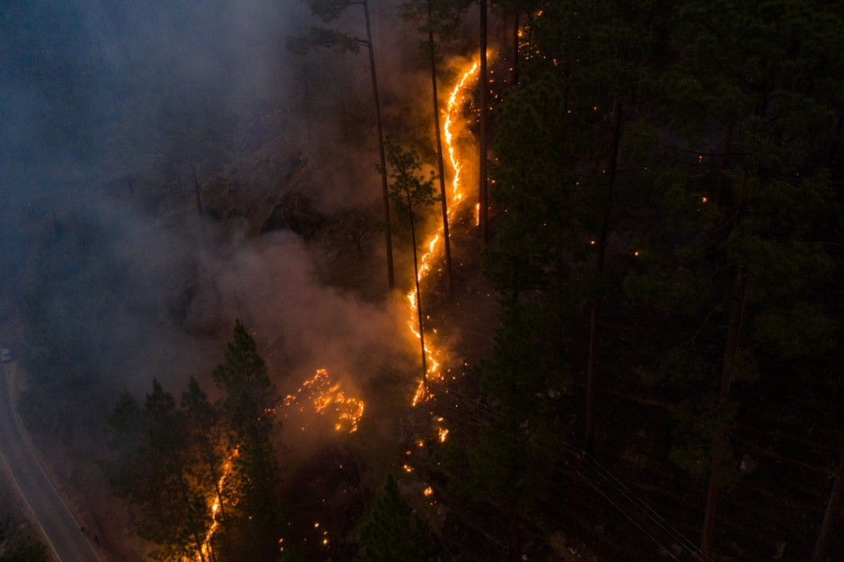 W Kanadzie  trwają pożary , które dotychczas dotknęły 10 mln ha lasów; Fot. Shutterstock