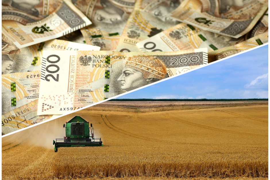 Czy rolnicy zdążą skorzystać z uproszczeń w ekoschematach? fot. shutterstock / pixabay