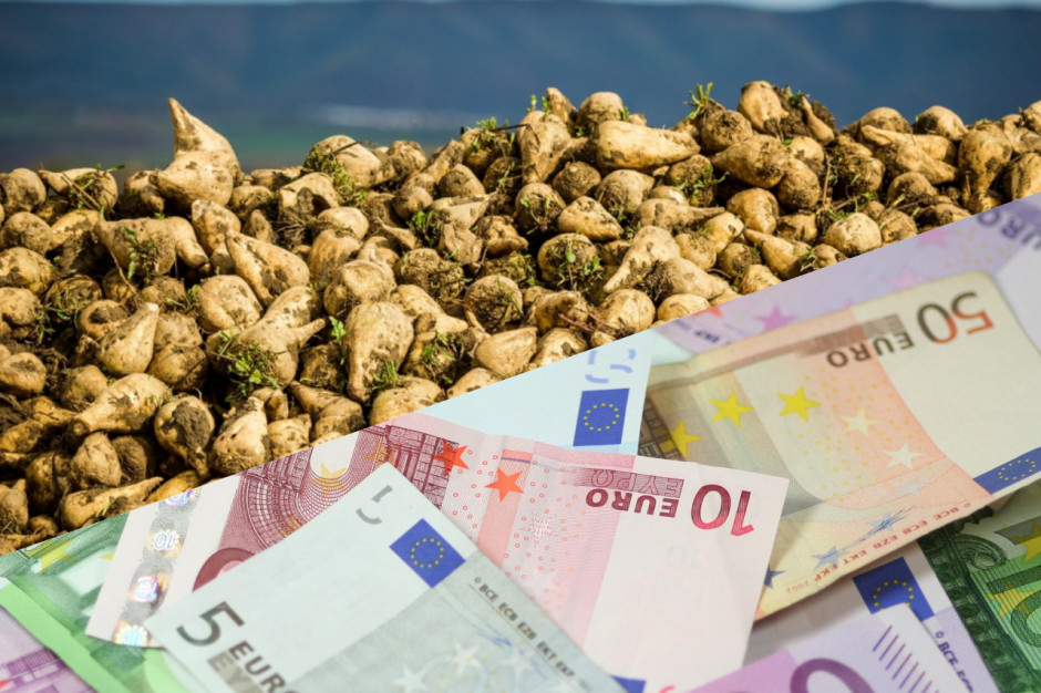 Nie mniej niż 46,50 euro/t buraków w roku gospodarczym 2024/25 w KGS S.A., fot. collage / shutterstock / pixabay