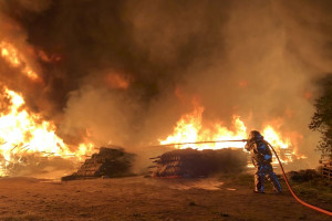 Bele agrowłókniny płonęły w gospodarstwie. W akcji gaśniczej poparzony strażak