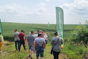 Zielone Dni Pola Osadkowski. Rozwiązania biologiczne w praktyce