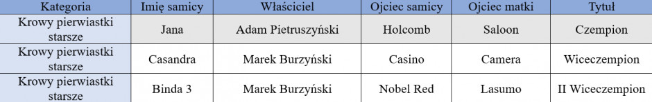 Czempionka, wiceczempionka, II wiceczempionka, krowy pierwiastki starsze, Szepietowo 2023, farmer.pl