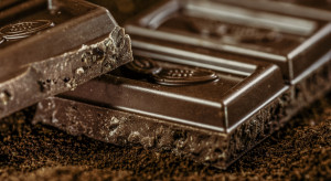 Światowy Dzień Czekolady: czy uprawa kakao jest opłacalna?