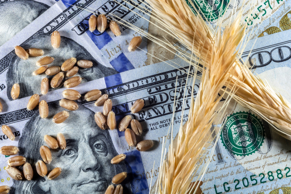 Podlaska Izba Rolnicza apeluje o wsparcie rolnictwa w wysokości 9 mld dolarów od USA, fot. shutterstock