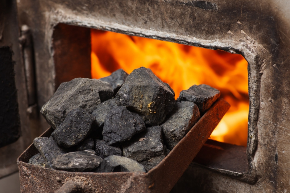Sprawdź gdzie i po ile kupisz węgiel i ekogroszek innego producenta niż w PGG w atrakcyjnej i konkurencyjnej cenie. Foto. Shutterstock