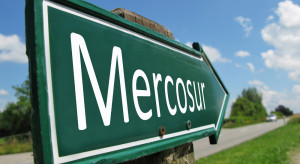 Umowa z krajami Mercosur. Unijne rolnictwo będzie ofiarą?
