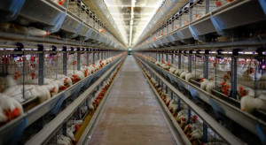 Surprising news from France.  Consumers are looking for cage eggs