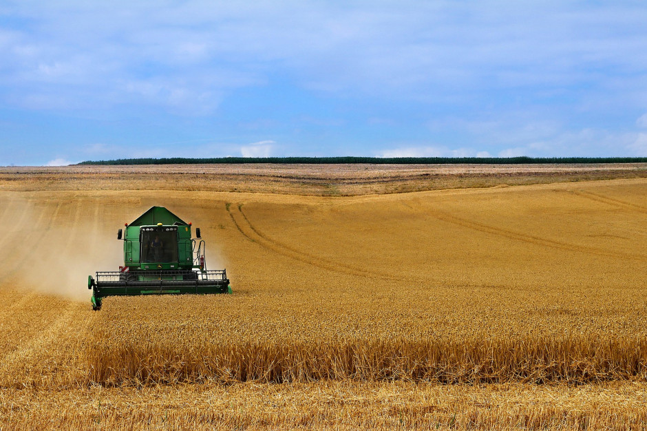 Przedłużenie odstępstwa od GAEC 7 i GAEC 8 na 2024 r. wcale nie jest takie pewne, fot. pixabay