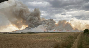 Gigantyczny pożar zboża na pniu. Z dymem poszło ponad 70 ha upraw