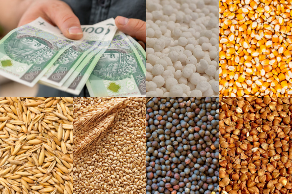 31 lipca mija termin na złożenie wniosku o dopłaty do zbóż i nawozów, fot. collage / shutterstock / pixabay