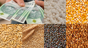 Dopłaty do zbóż i nawozów. To już ostatnie dni na złożenie wniosku o pomoc