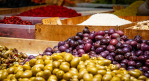 Czy oliwa z oliwek stanie się produktem luksusowym? Problemy z uprawą oliwek