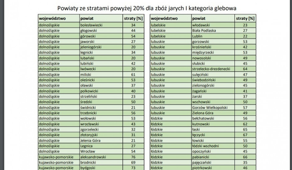 Procent strat suszowych, wyszacowanych przez IUNG-PIB - Fragment tabeli. Źródło: IUNG-PIB