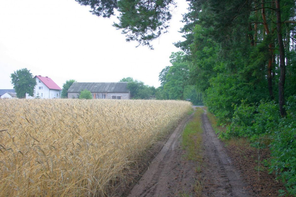 Sąsiedzi pokłócili się o drogę dojazdową do posesji, Foto ilustracyjne: GT/Farmer