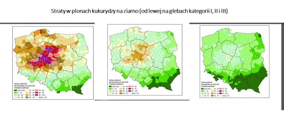 Źródło: IUNG-PIB