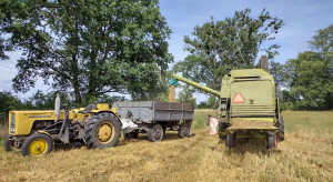 Żniwa na Południu. Stachowiak i Krzak o opłacalności produkcji zbóż