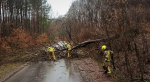 Warmińsko-mazurskie: Po burzach strażacy walczą ze skutkami silnego wiatru