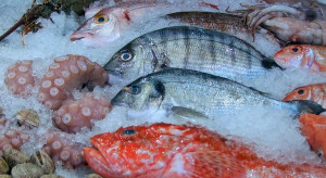 Ukraina: znacznie zwiększony import produktów rolnych w bieżącym roku
