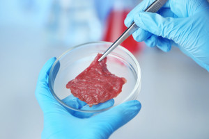 Światowa Organizacja Rolników przeciwna mięsu laboratoryjnemu