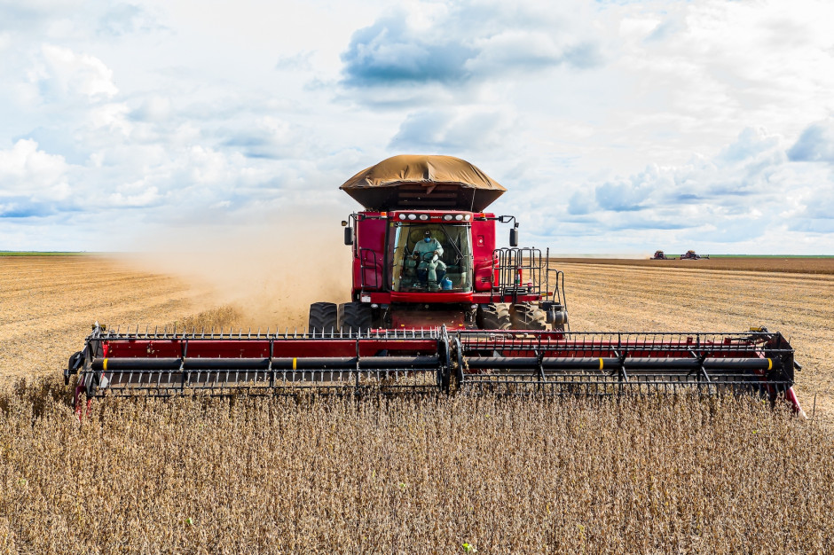 W sezonie 2023/2024  prawie cały wzrost produkcji soi rok do roku nastąpi w Ameryce Południowej; Fot. Shutterstock