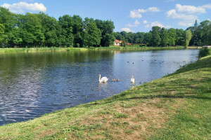 Wraca lato. W sobotę ciepło, a opady tylko przelotnie
