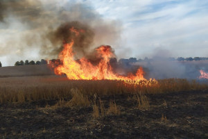 Warmia i Mazury: Dziesięć pożarów na polach na dobę