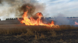 Warmia i Mazury: Dziesięć pożarów na polach na dobę