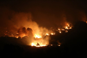 Pożary lasów na północnym wschodzie Grecji nadal poza kontrolą