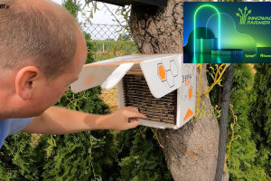 Innowacyjny Farmer 2023: Zyskać więcej dzięki skutecznemu zapyleniu roślin