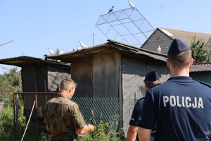 Policyjne kontrole u hodowców gołębi pod Radomiem