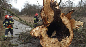 Małopolskie: Ponad 900 interwencji po nawałnicach; część mieszkańców bez prądu