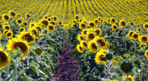 The Ukrainian oligarch is one step away from taking ownership of the Kernel agroholding